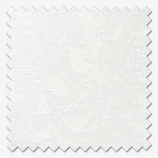 California  White vertical
