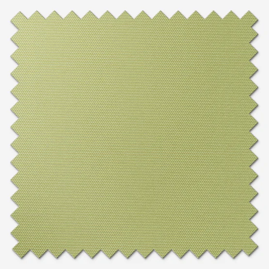 Deluxe Plain Lime vertical