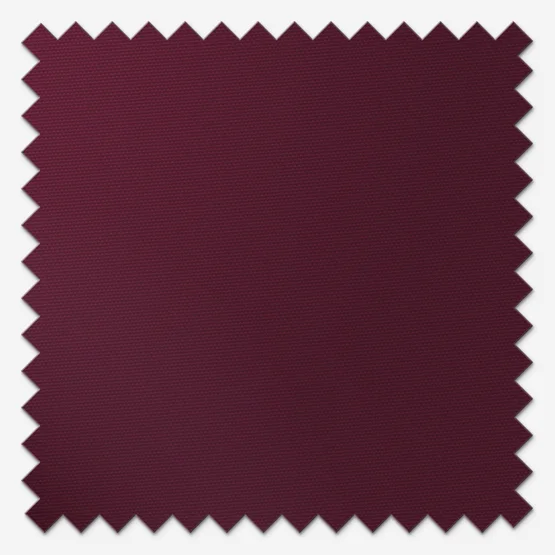 Deluxe Plain Plum vertical