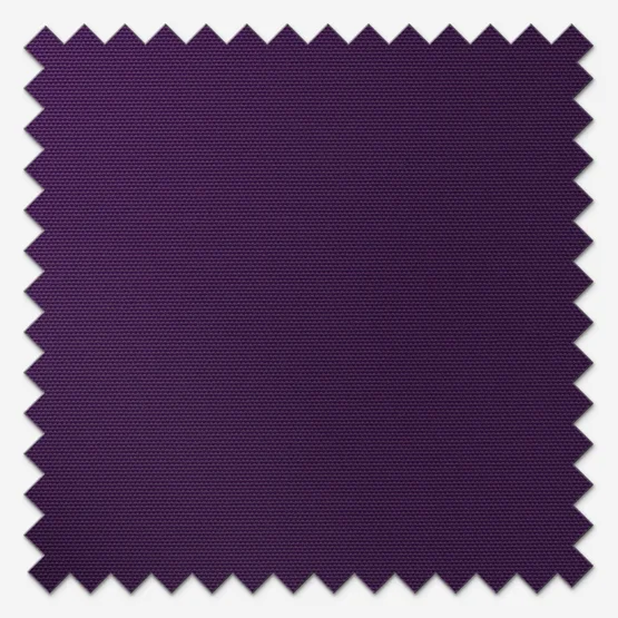 Deluxe Plain Purple vertical