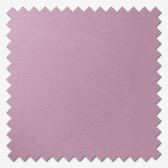 Deluxe Plain Wisteria vertical
