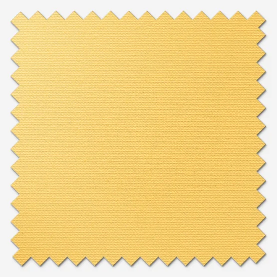 Optima Blackout Daffodil Yellow vertical