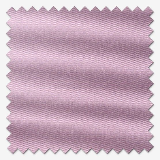Supreme Blackout Wisteria vertical