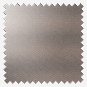 Palette Taupe