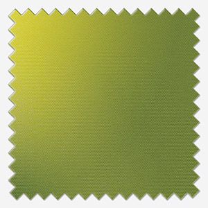 Deluxe Plain Lime