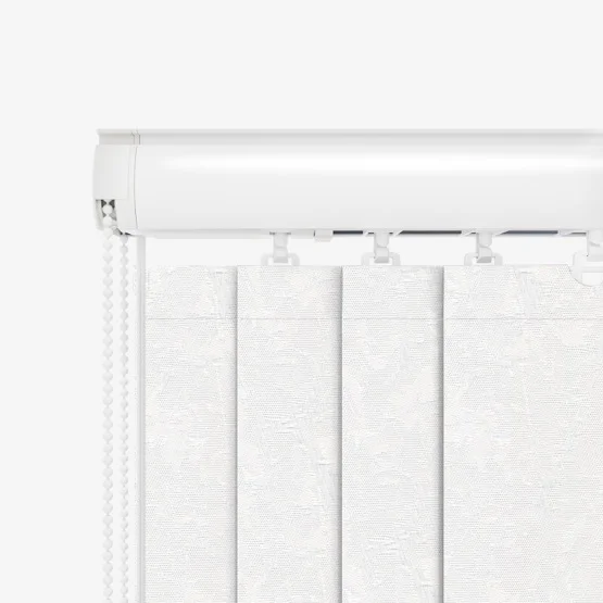 California  White vertical