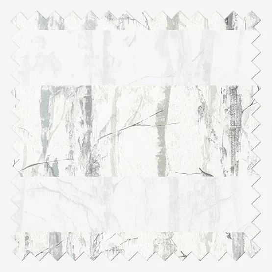 Alberto Silver vision