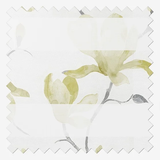 Floreale Pipin vision