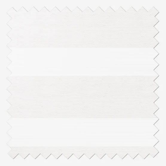 Dixie Ivory vision