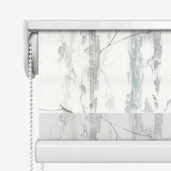 Alberto Silver vision