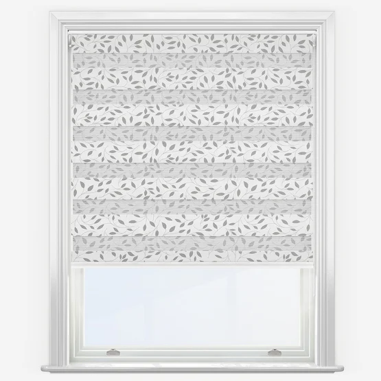Classica Dove vision