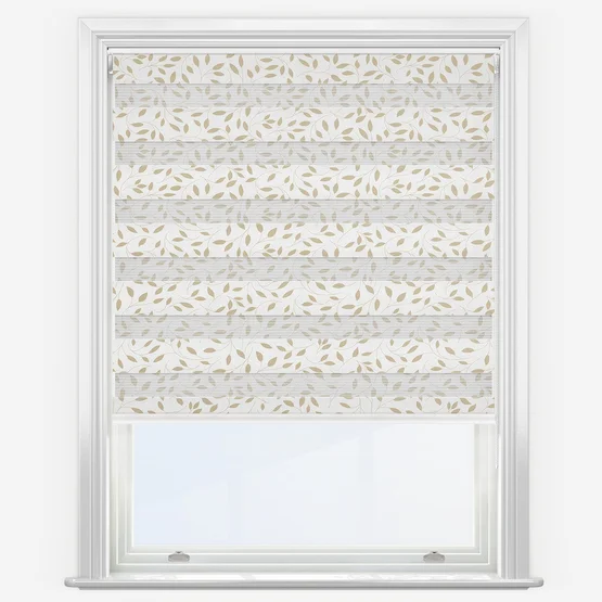 Classica Primrose vision