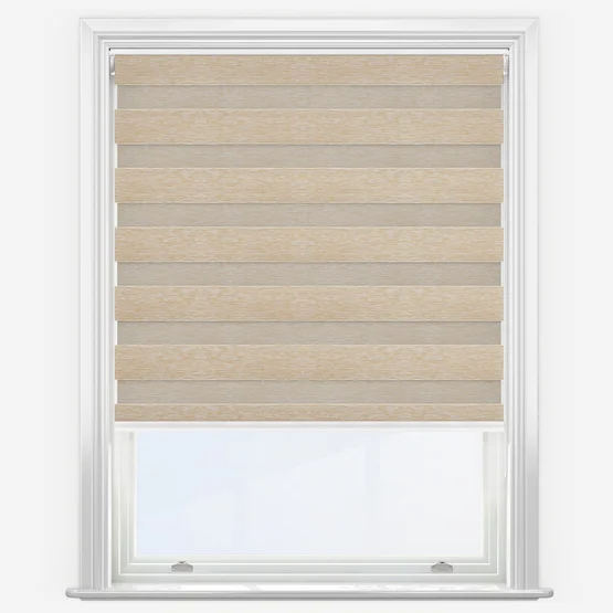 Fossil Birch vision