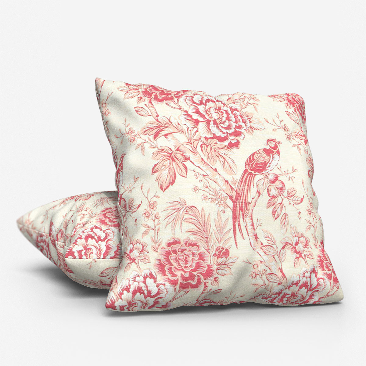 raspberry cushion